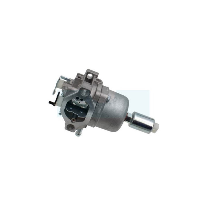Carburateur pour moteur Briggs & Stratton (799727)