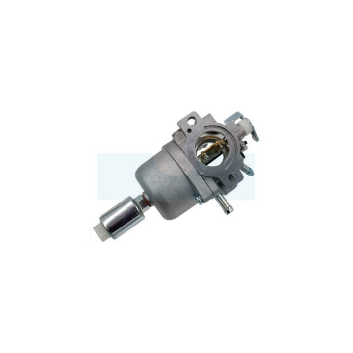 Carburateur pour moteur Briggs & Stratton (799727)