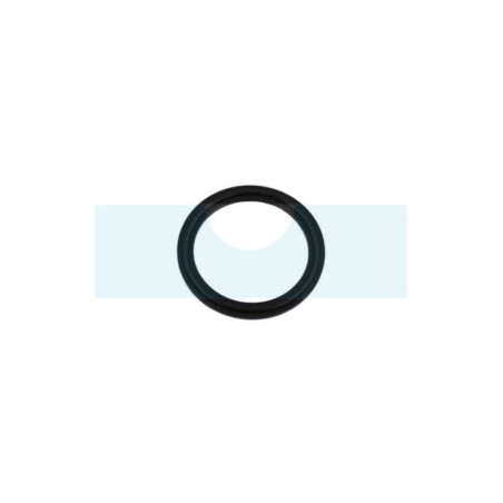 Joint de raccord pour pulvérisateur Echo (35701412711)