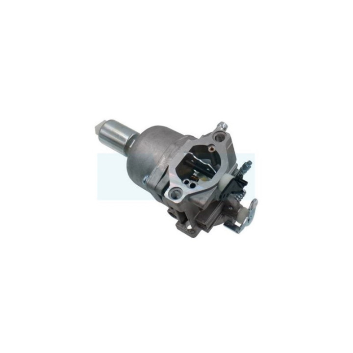 Carburateur pour moteur Briggs & Stratton (799727)
