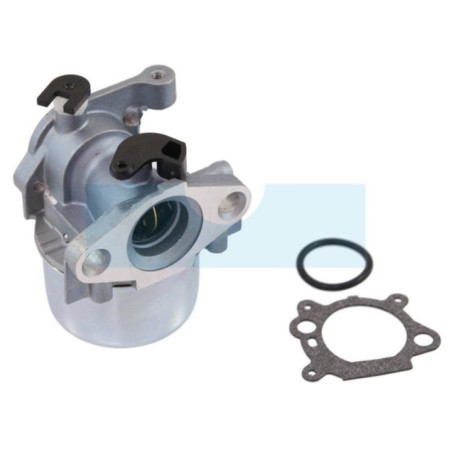 Carburateur pour moteur Briggs & Stratton (790845)