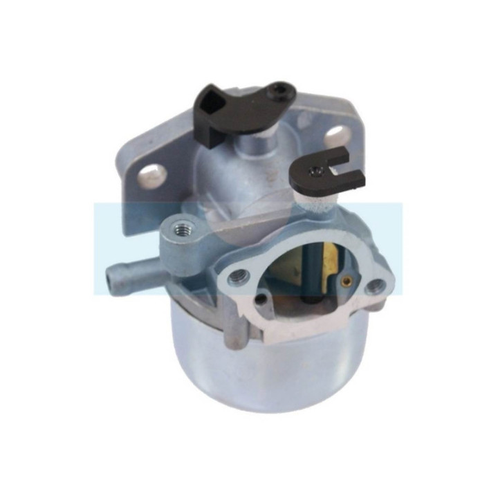 Carburateur pour moteur Briggs & Stratton (790845)