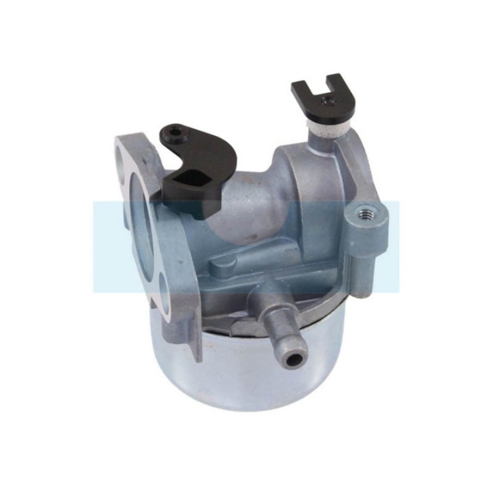 Carburateur pour moteur Briggs & Stratton (790845)