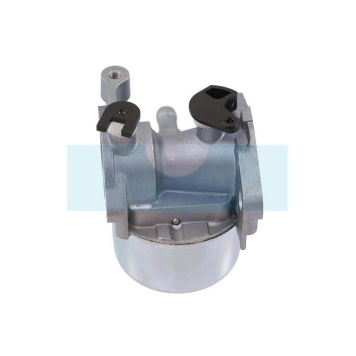 Carburateur pour moteur Briggs & Stratton (790845)