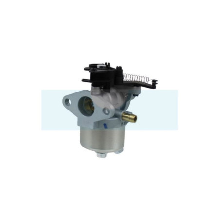 Carburateur pour moteur Briggs & Stratton (591852)