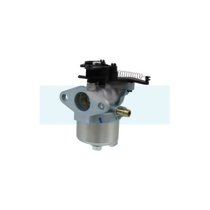 Carburateur pour moteur Briggs & Stratton (591852)