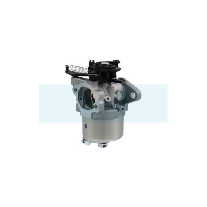 Carburateur pour moteur Briggs & Stratton (591852)