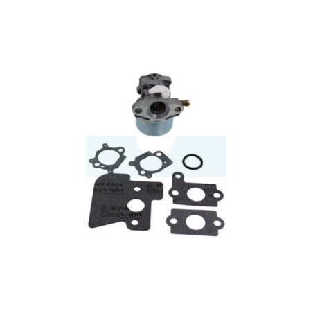 Carburateur pour moteur Briggs & Stratton (790120)