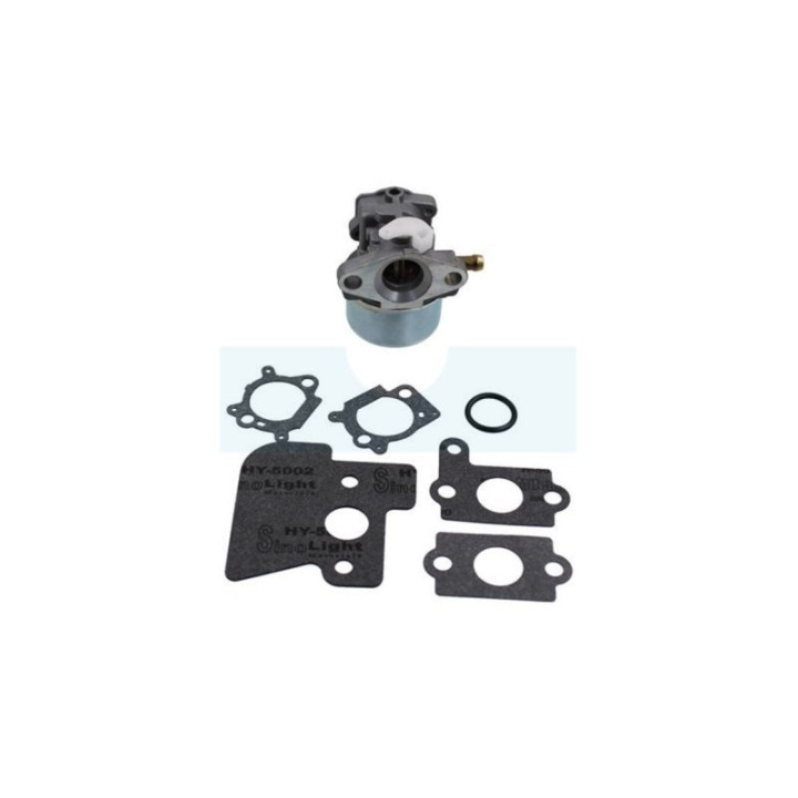Carburateur pour moteur Briggs & Stratton (790120)