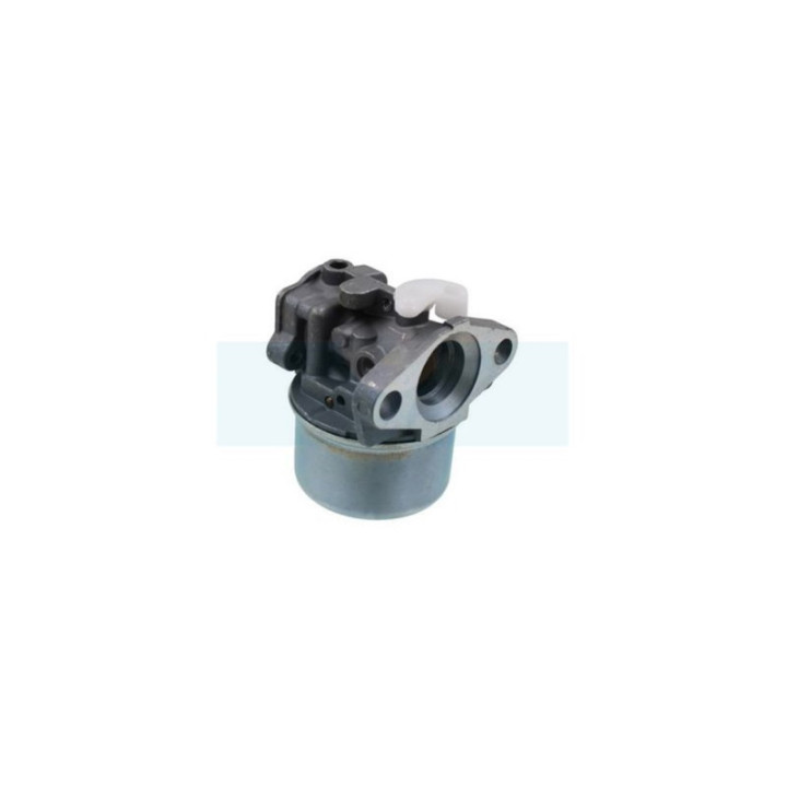 Carburateur pour moteur Briggs & Stratton (790120)