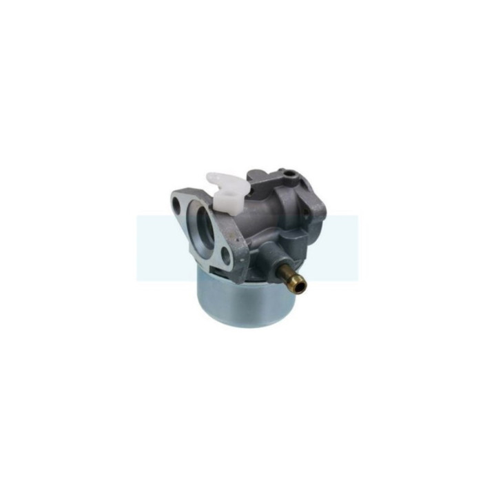 Carburateur pour moteur Briggs & Stratton (790120)