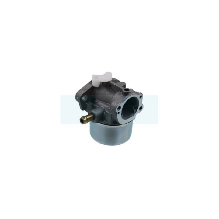 Carburateur pour moteur Briggs & Stratton (790120)