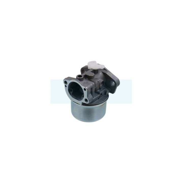 Carburateur pour moteur Briggs & Stratton (790120)