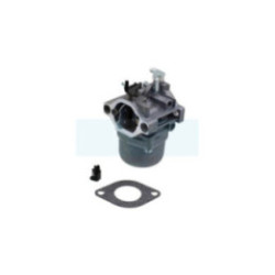 Carburateur pour moteur Briggs & Stratton (799728)