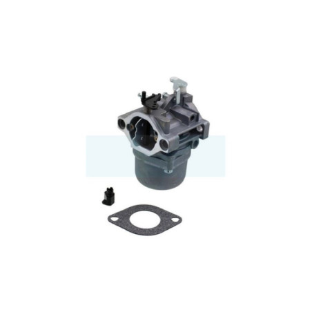 Carburateur pour moteur Briggs & Stratton (799728)