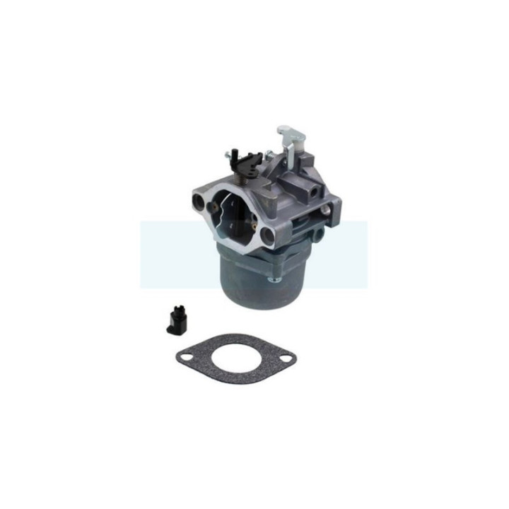 Carburateur pour moteur Briggs & Stratton (799728)