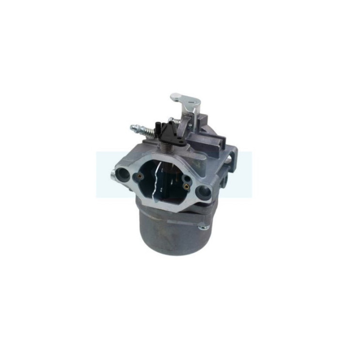 Carburateur pour moteur Briggs & Stratton (799728)