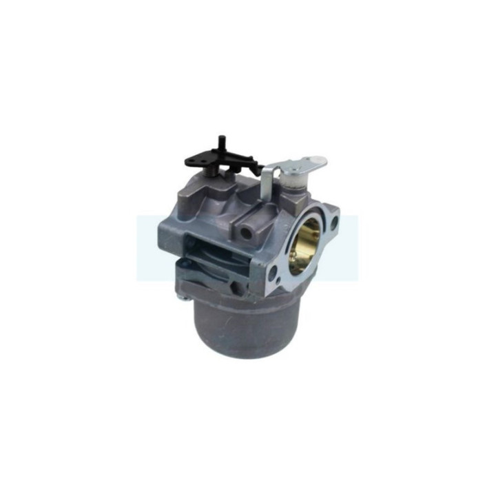 Carburateur pour moteur Briggs & Stratton (799728)