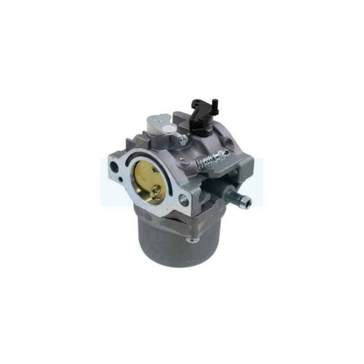 Carburateur pour moteur Briggs & Stratton (799728)