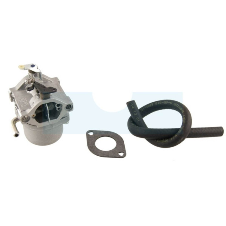 Carburateur pour moteur Briggs & Stratton (590399)