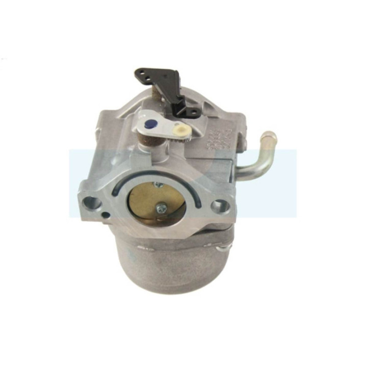 Carburateur pour moteur Briggs & Stratton (590399)