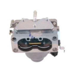 Carburateur pour moteur Briggs & Stratton (791230)