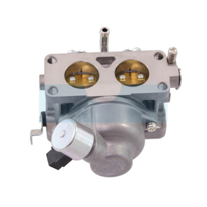Carburateur pour moteur Briggs & Stratton (791230)