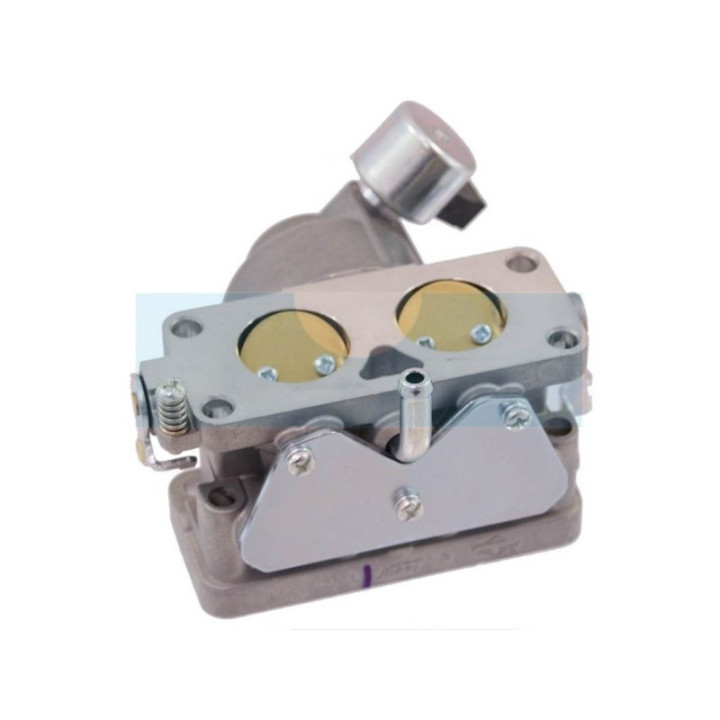 Carburateur pour moteur Briggs & Stratton (791230)