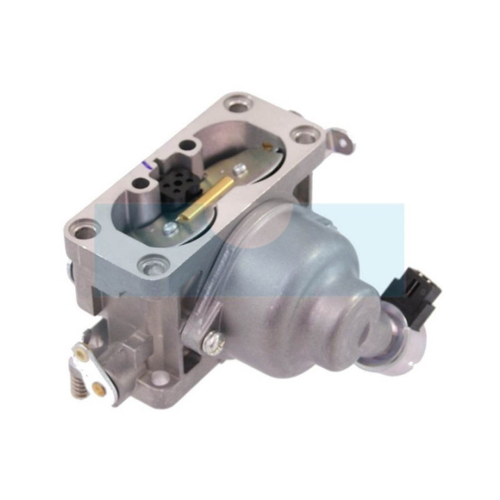 Carburateur pour moteur Briggs & Stratton (791230)