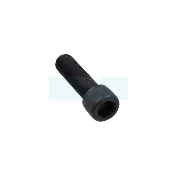 Boulon de poulie pour tracteur tondeuse Husqvarna (506556002)