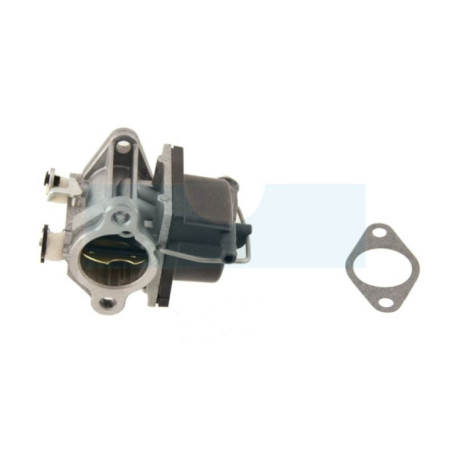 Carburateur pour moteur Tecumseh (640065A)