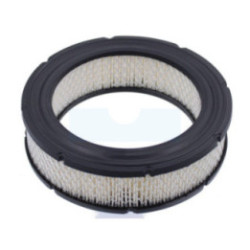 Filtre à air pour moteur Briggs & Stratton (692519)