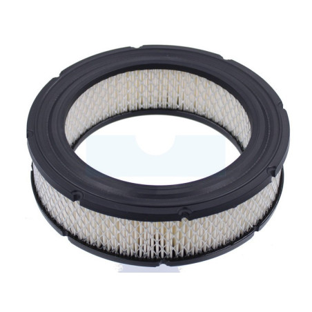 Filtre à air pour moteur Briggs & Stratton (692519)