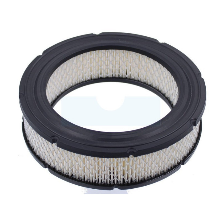 Filtre à air pour moteur Briggs & Stratton (692519)