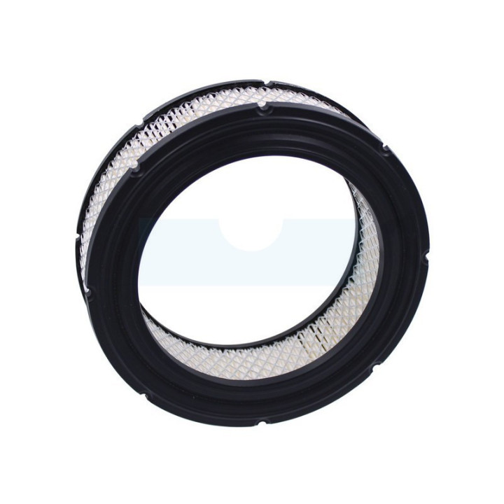Filtre à air pour moteur Briggs & Stratton (692519)