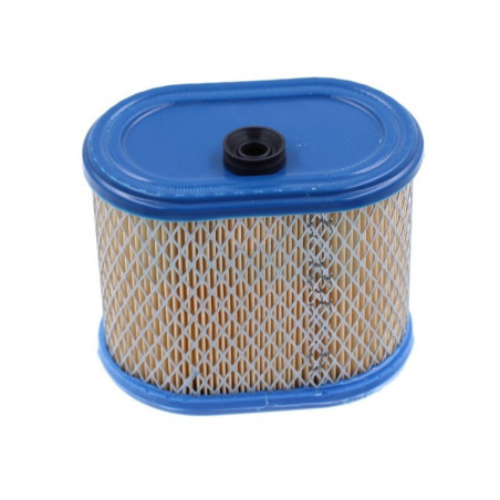 Filtre à air pour moteur Briggs & Stratton (695302)