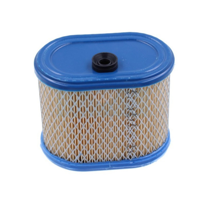 Filtre à air pour moteur Briggs & Stratton (695302)