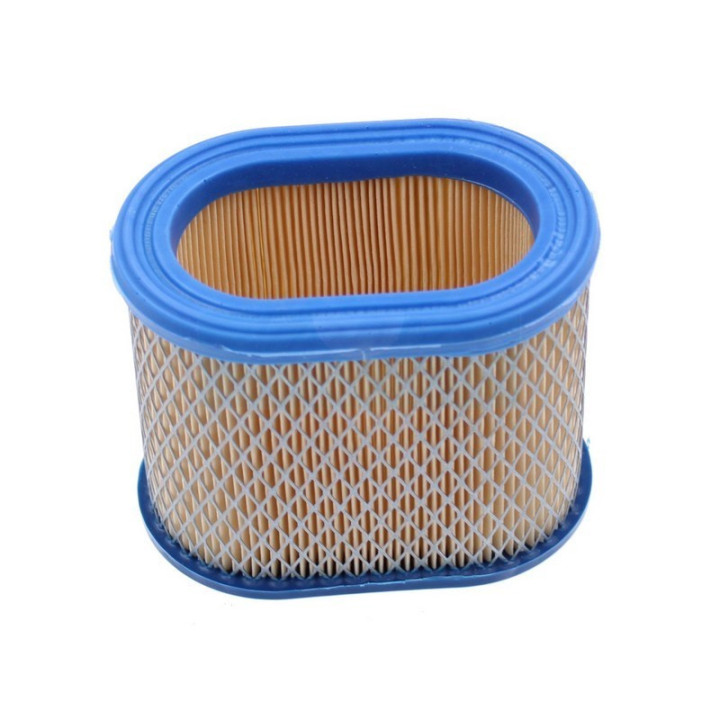 Filtre à air pour moteur Briggs & Stratton (695302)