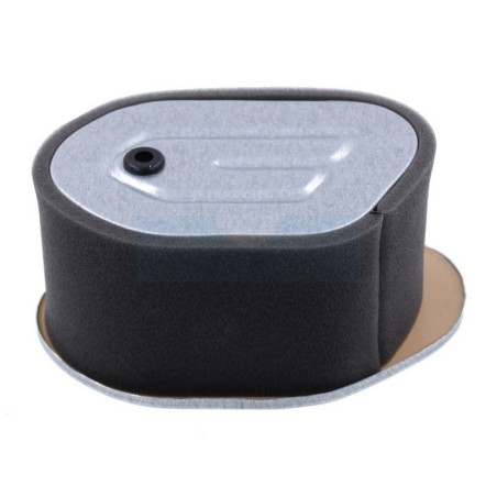 Filtre à air pour moteur Robin (2673500301)