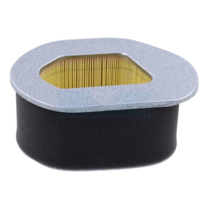 Filtre à air pour moteur Robin (2673500301)