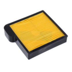 Filtre à air pour moteur Kawasaki (110132128)