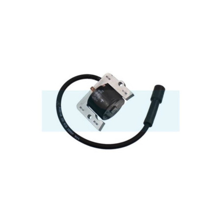 Bobine d'allumage pour moteur Kohler (1258402)