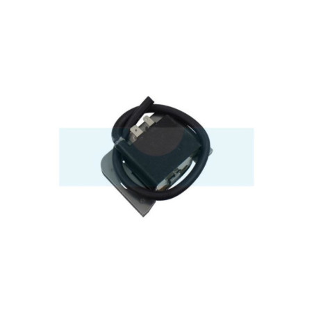Bobine d'allumage pour moteur Kohler (2458403)