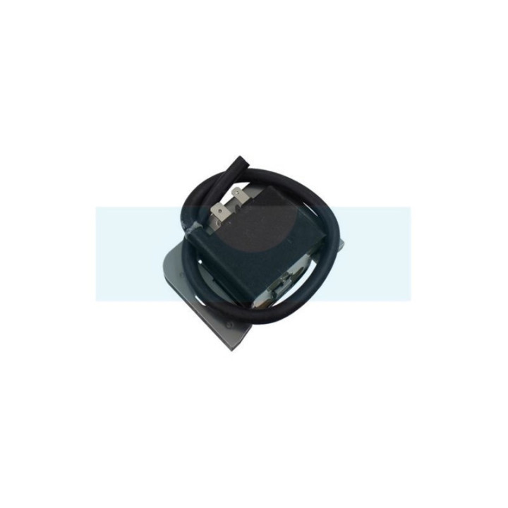 Bobine d'allumage pour moteur Kohler (2458403)