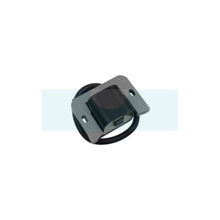 Bobine d'allumage pour moteur Kohler (2458403)