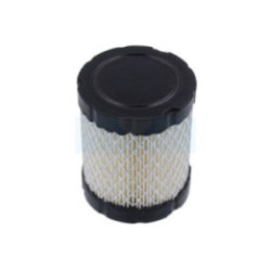Filtre à air pour moteur Briggs & Stratton (796032)