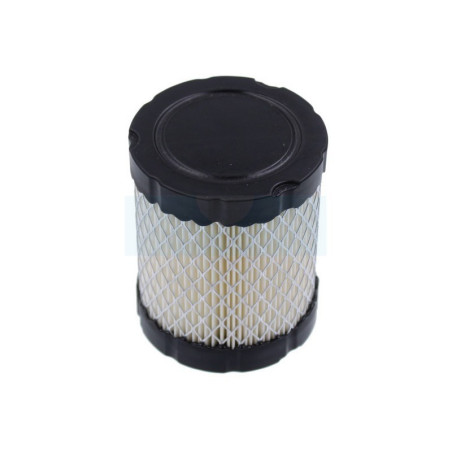 Filtre à air pour moteur Briggs & Stratton (796032)