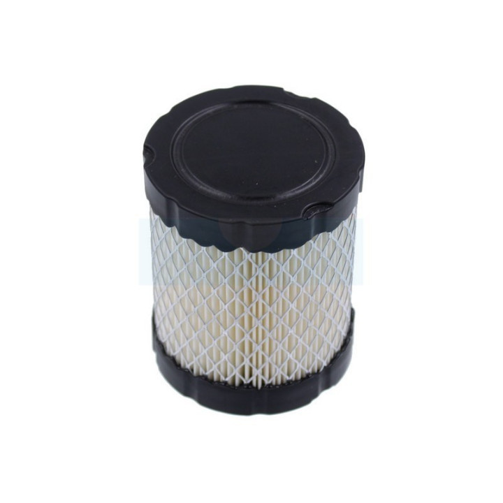 Filtre à air pour moteur Briggs & Stratton (796032)