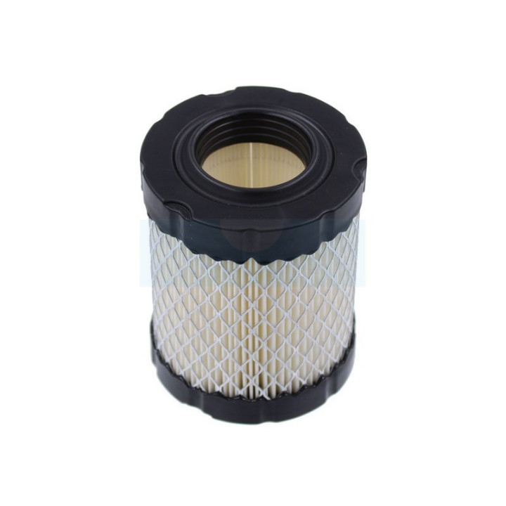 Filtre à air pour moteur Briggs & Stratton (796032)