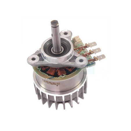 Moteur électrique pour tondeuse / tronçonneuse Stihl (12506000200)